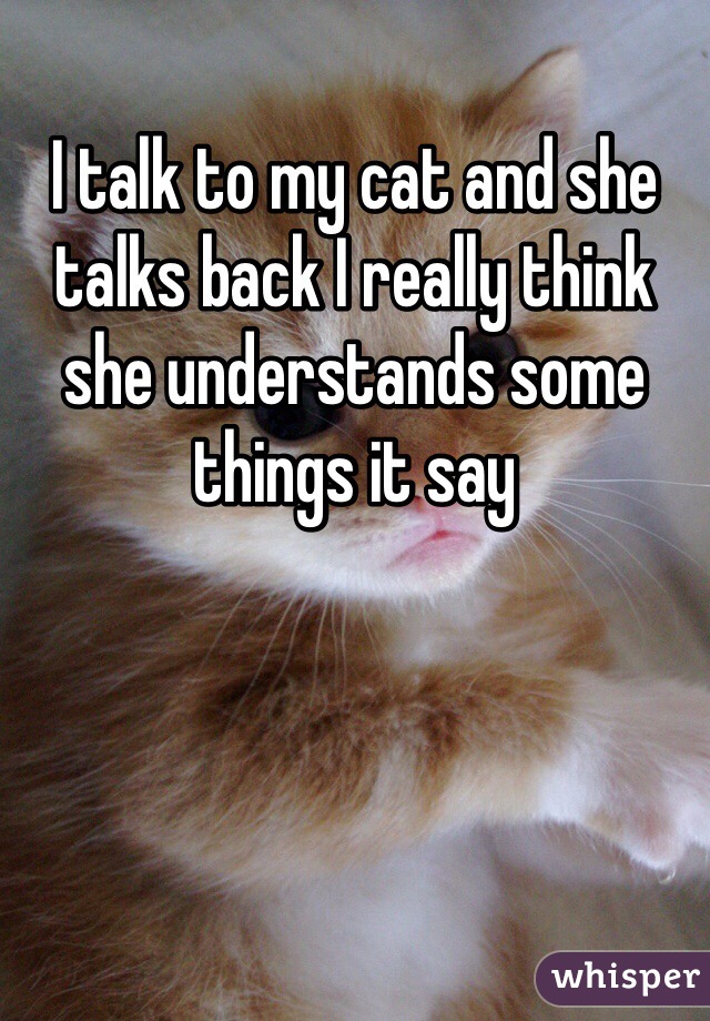 I talk to my cat and she talks back I really think she understands some things it say 