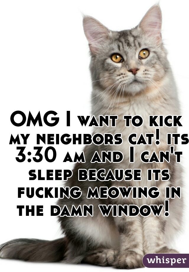 OMG I want to kick my neighbors cat! its 3:30 am and I can't sleep because its fucking meowing in the damn window!  