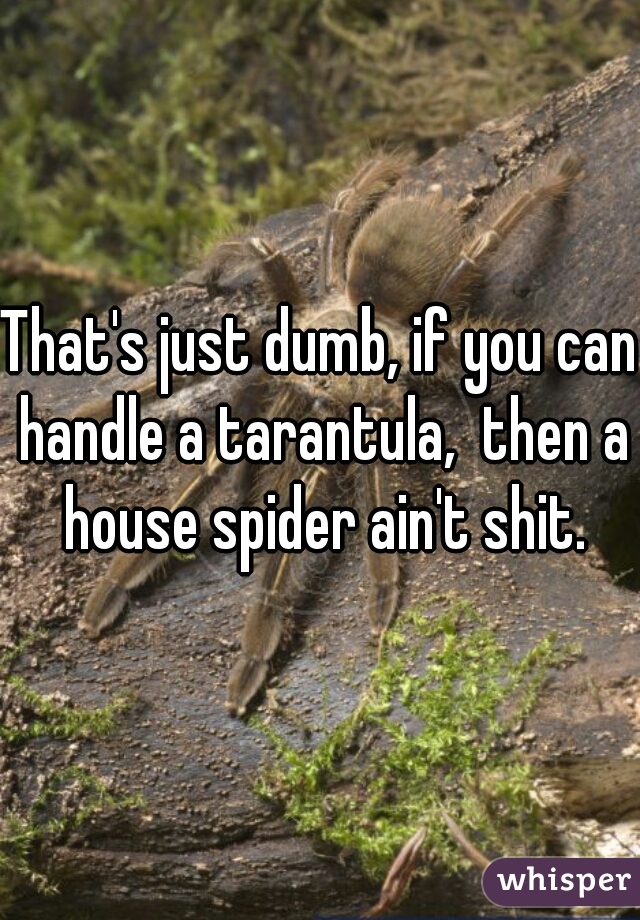That's just dumb, if you can handle a tarantula,  then a house spider ain't shit.
