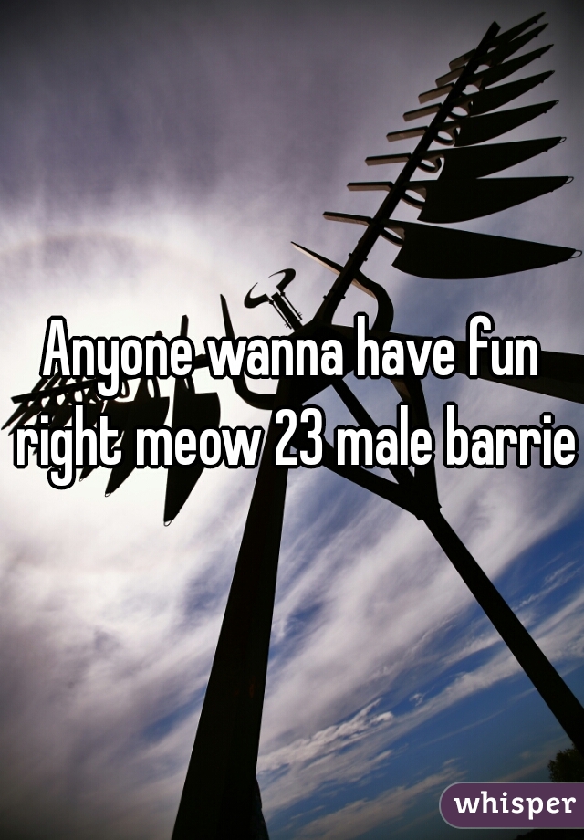 Anyone wanna have fun right meow 23 male barrie