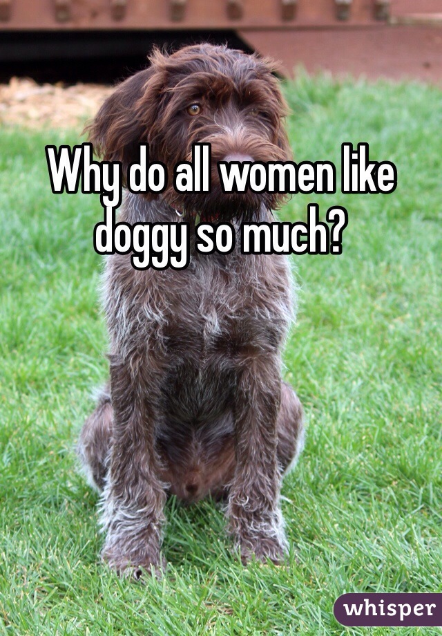 Why do all women like doggy so much? 
