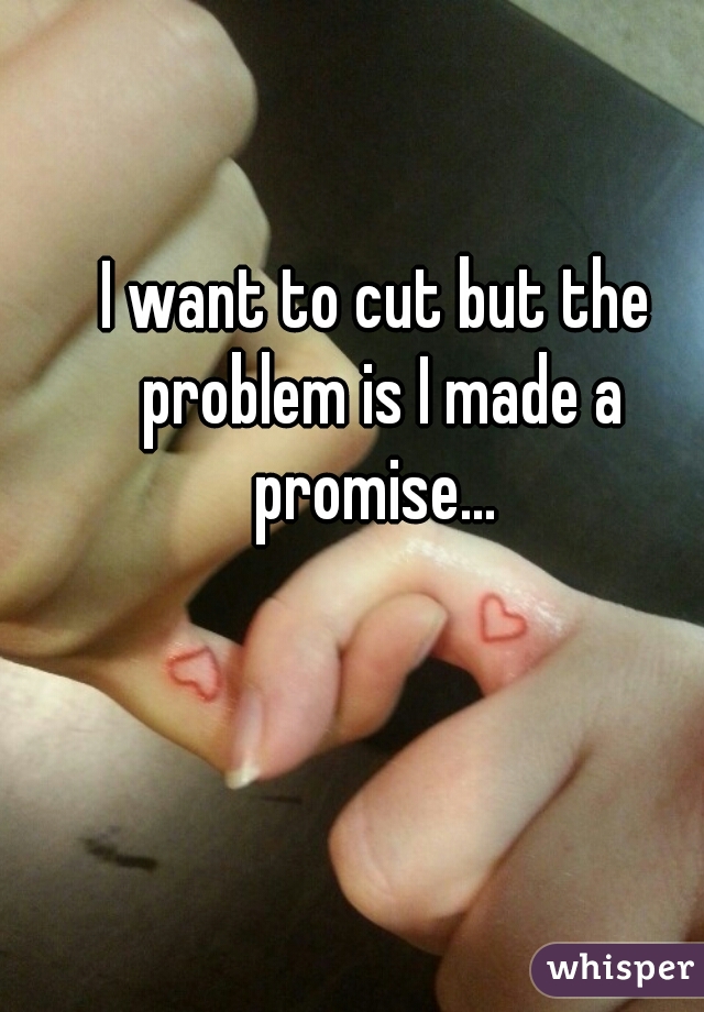 I want to cut but the problem is I made a promise... 