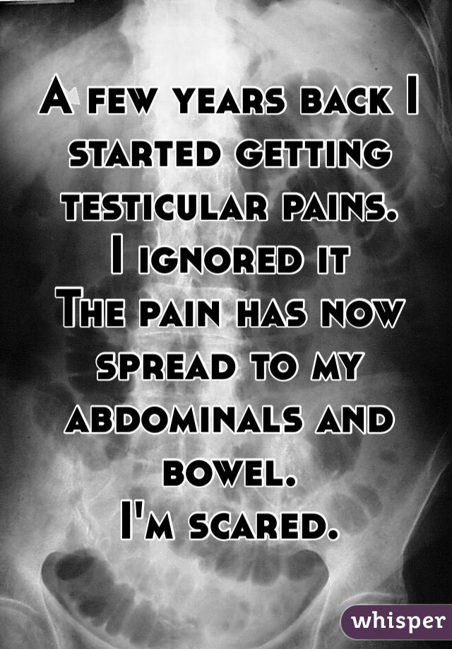 A few years back I started getting testicular pains.
I ignored it
The pain has now spread to my abdominals and bowel.
I'm scared.