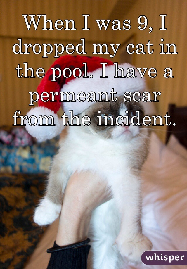 When I was 9, I dropped my cat in the pool. I have a permeant scar from the incident.
