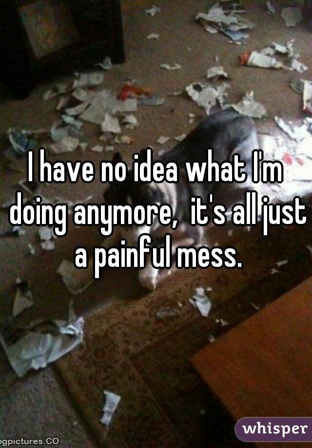 I have no idea what I'm doing anymore,  it's all just a painful mess.