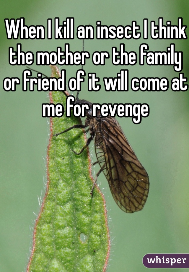 When I kill an insect I think the mother or the family or friend of it will come at me for revenge
