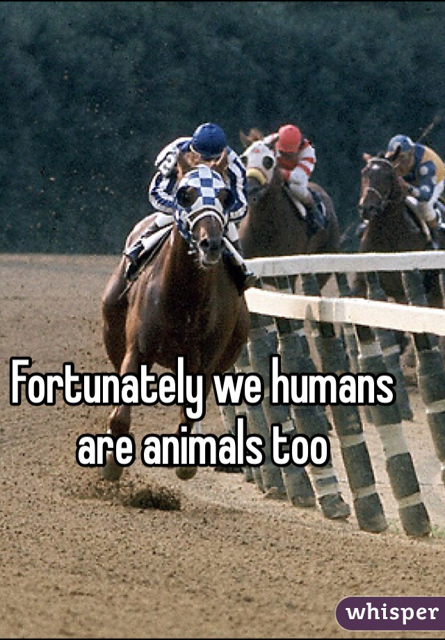 Fortunately we humans are animals too