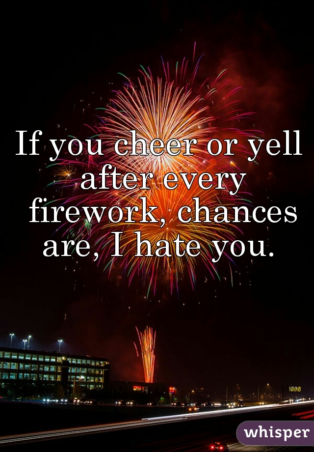 If you cheer or yell after every firework, chances are, I hate you. 