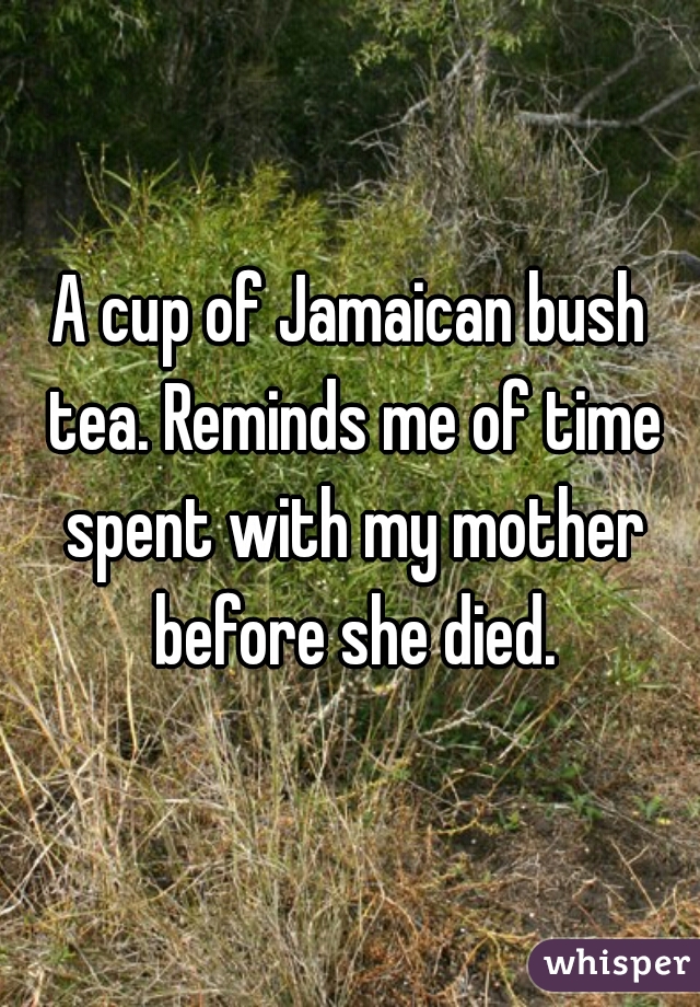 A cup of Jamaican bush tea. Reminds me of time spent with my mother before she died.