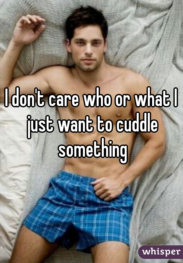 I don't care who or what I just want to cuddle something