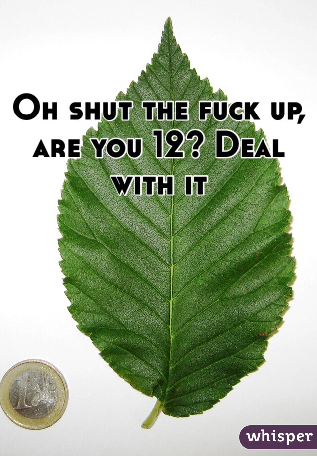 Oh shut the fuck up, are you 12? Deal with it 
