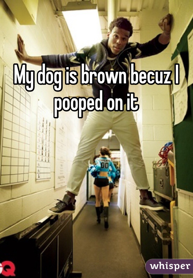 My dog is brown becuz I pooped on it
