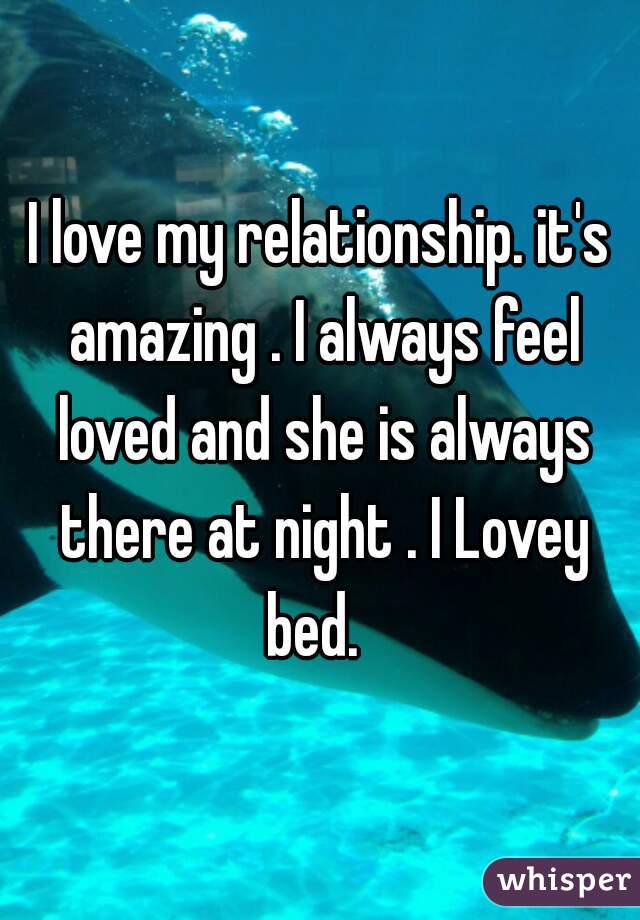 I love my relationship. it's amazing . I always feel loved and she is always there at night . I Lovey bed.  