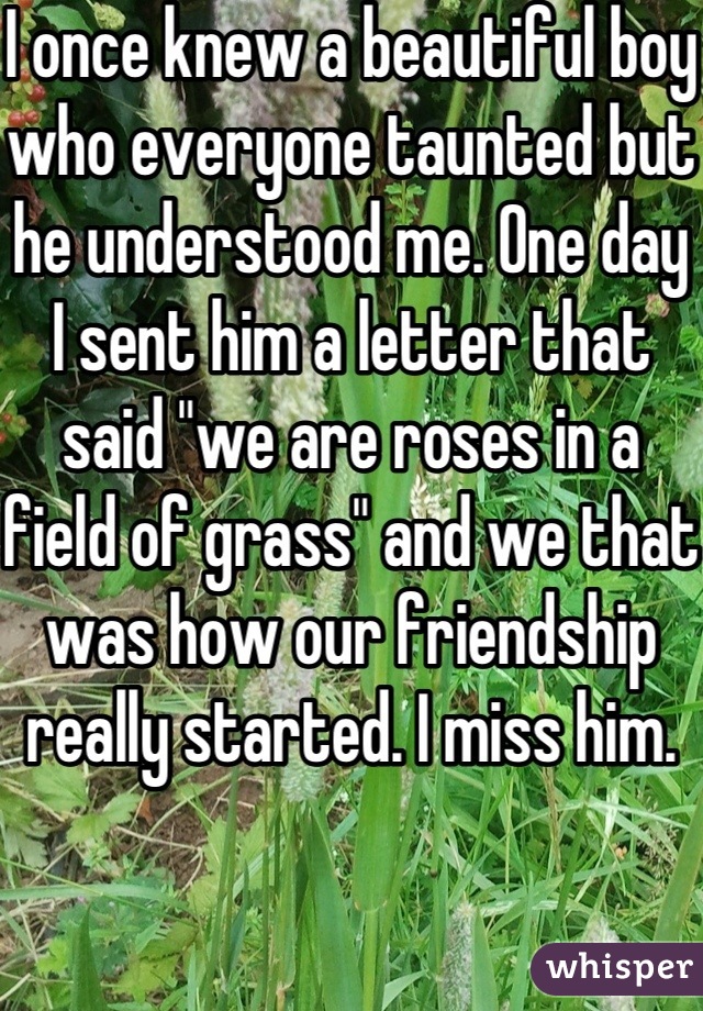 I once knew a beautiful boy who everyone taunted but he understood me. One day I sent him a letter that said "we are roses in a field of grass" and we that was how our friendship really started. I miss him.