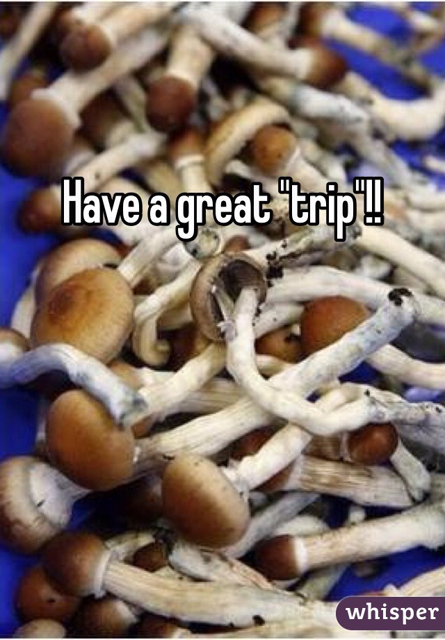 Have a great "trip"!! 
