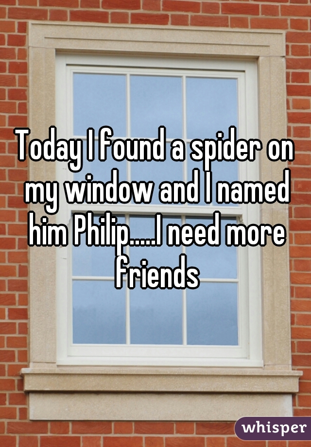 Today I found a spider on my window and I named him Philip.....I need more friends