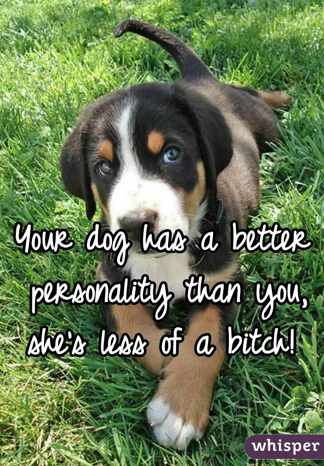 Your dog has a better personality than you, she's less of a bitch! 