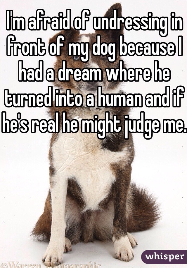 I'm afraid of undressing in front of my dog because I had a dream where he turned into a human and if he's real he might judge me.