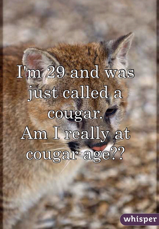 I'm 29 and was 
just called a cougar. 
Am I really at 
cougar age??