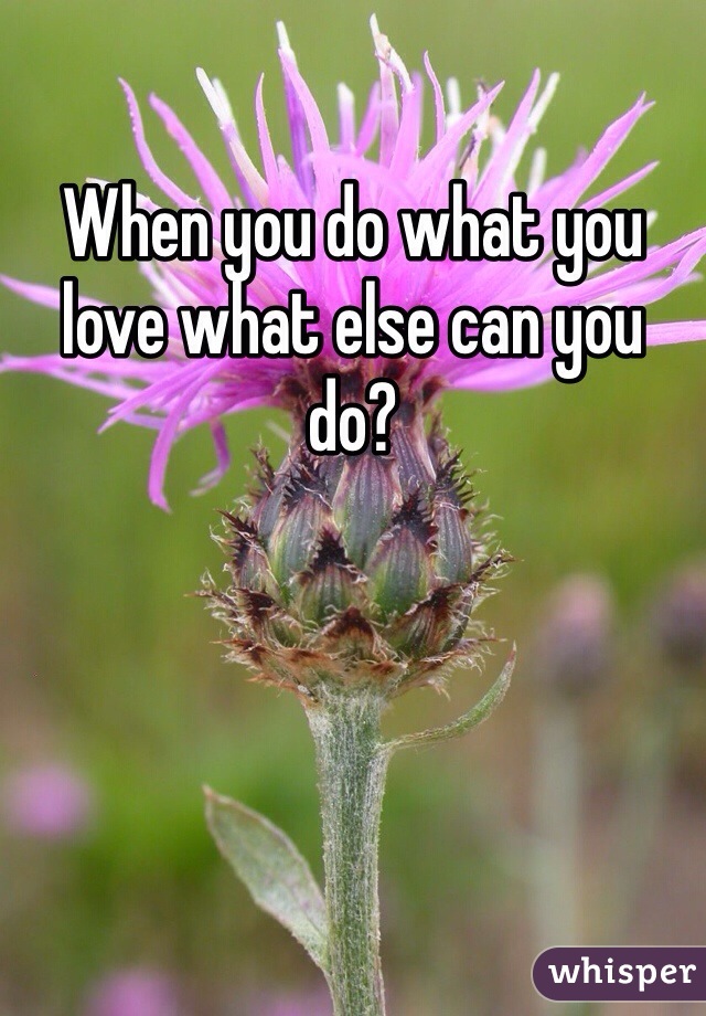 When you do what you love what else can you do?