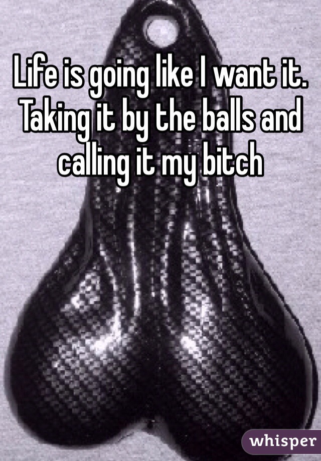 Life is going like I want it. Taking it by the balls and calling it my bitch