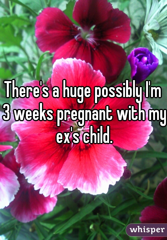There's a huge possibly I'm 3 weeks pregnant with my ex's child.