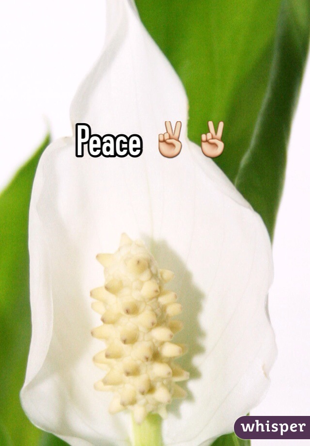 Peace ✌️✌️