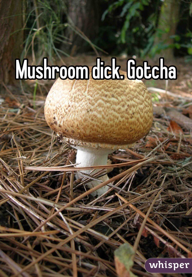 Mushroom dick. Gotcha 
