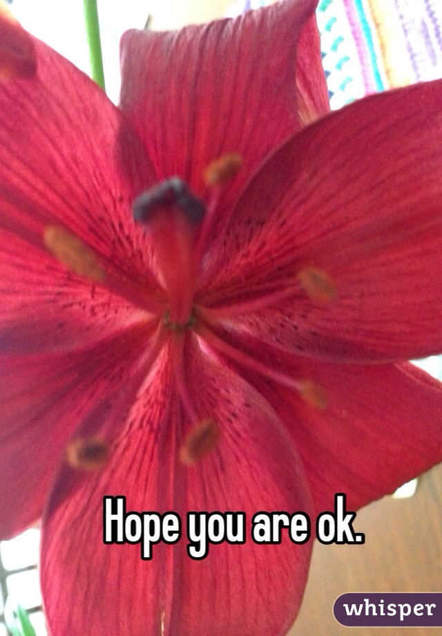 Hope you are ok. 