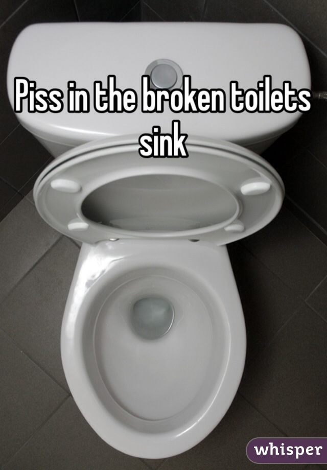 Piss in the broken toilets sink 