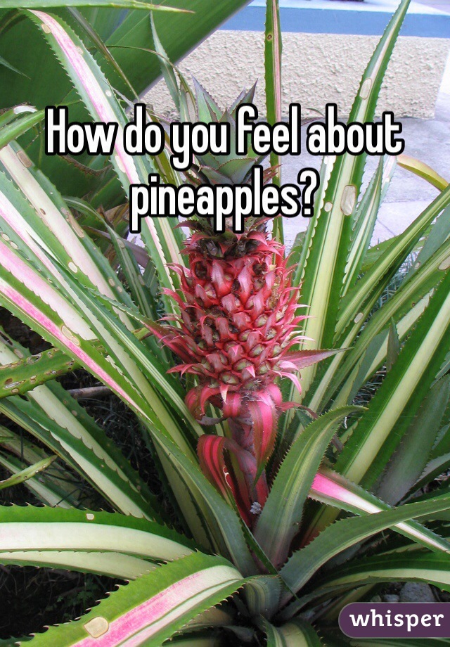 How do you feel about pineapples? 