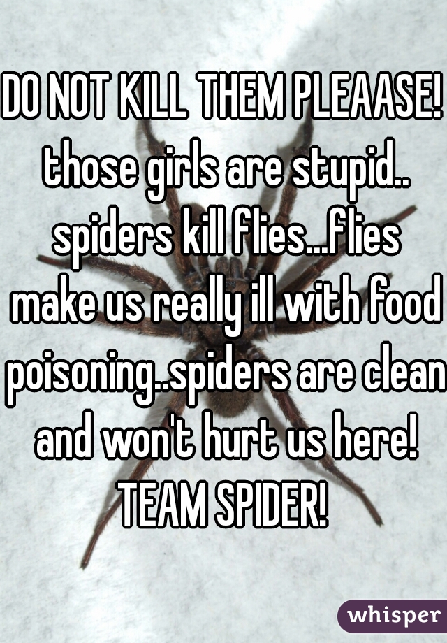 DO NOT KILL THEM PLEAASE! those girls are stupid.. spiders kill flies...flies make us really ill with food poisoning..spiders are clean and won't hurt us here! TEAM SPIDER! 