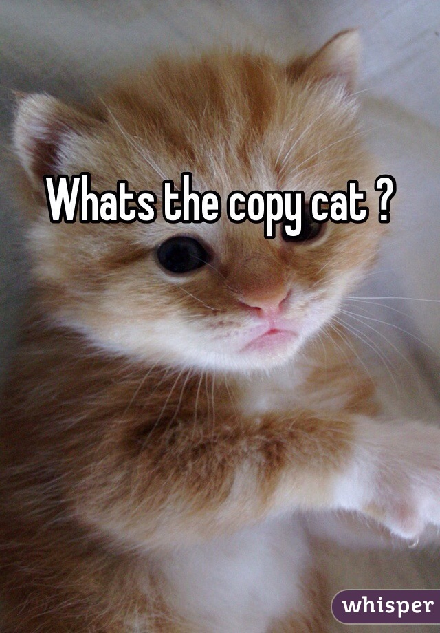 Whats the copy cat ?
