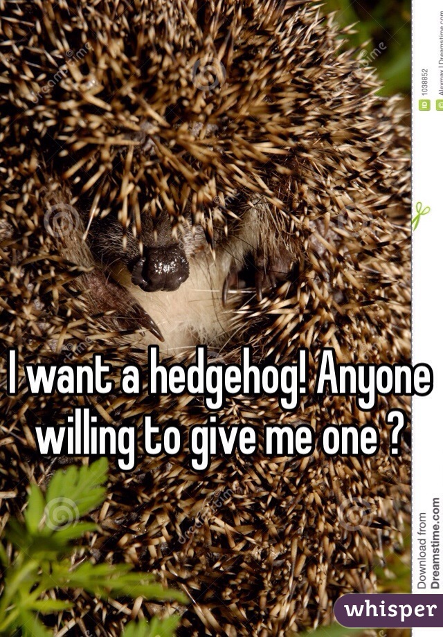 I want a hedgehog! Anyone willing to give me one ? 