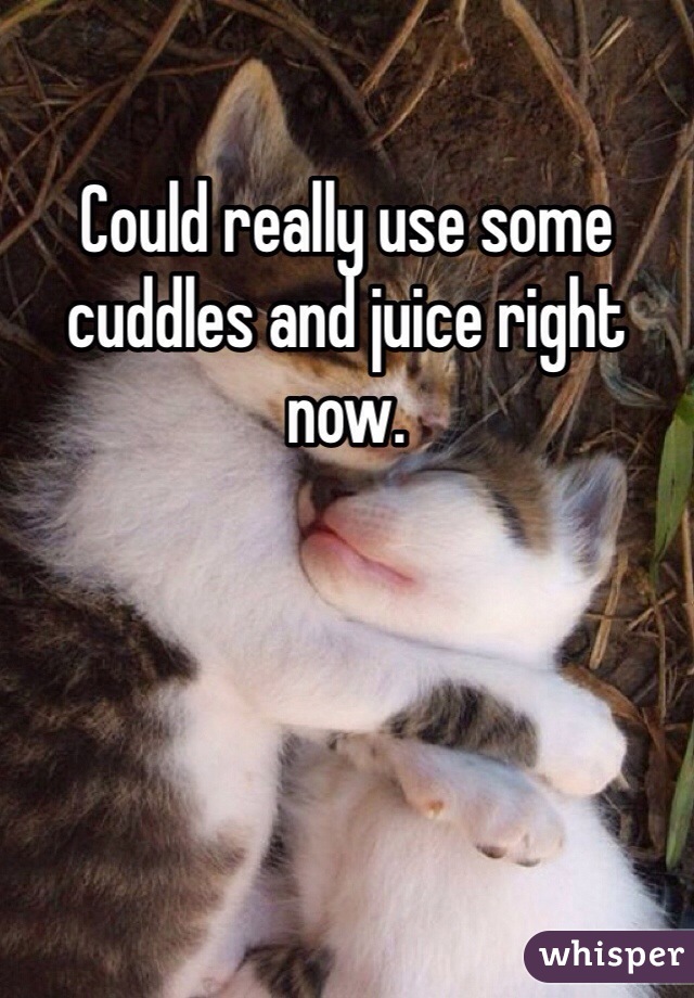 Could really use some cuddles and juice right now. 