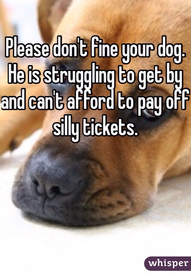 Please don't fine your dog. He is struggling to get by and can't afford to pay off silly tickets.