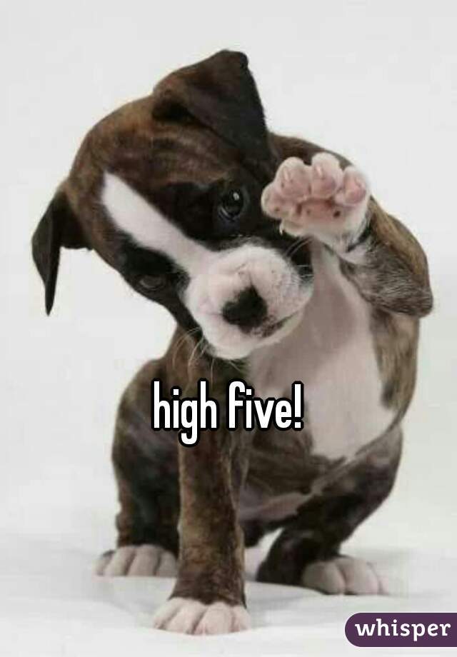 high five!