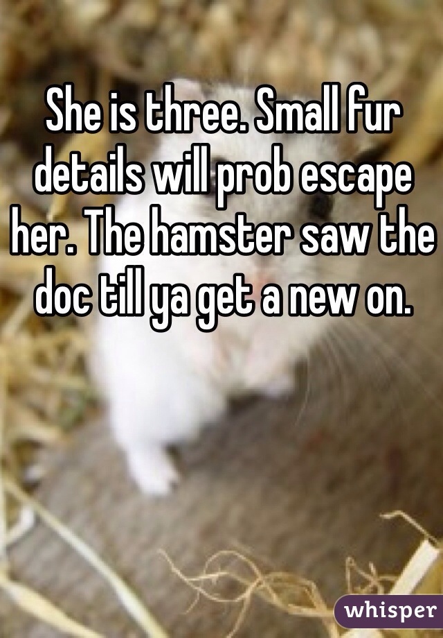 She is three. Small fur details will prob escape her. The hamster saw the doc till ya get a new on.