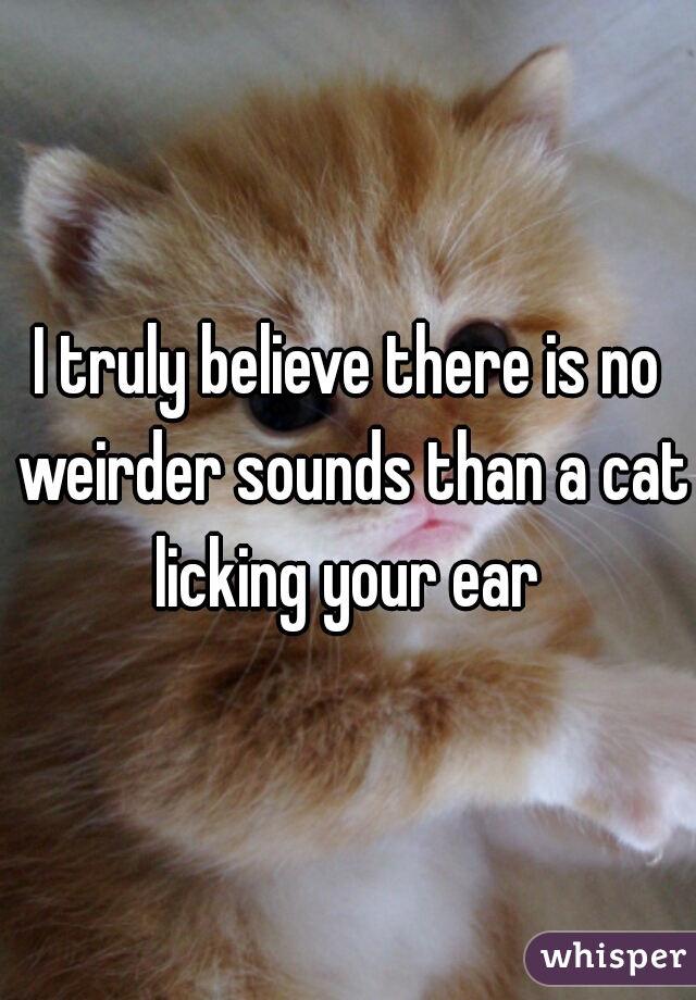 I truly believe there is no weirder sounds than a cat licking your ear 