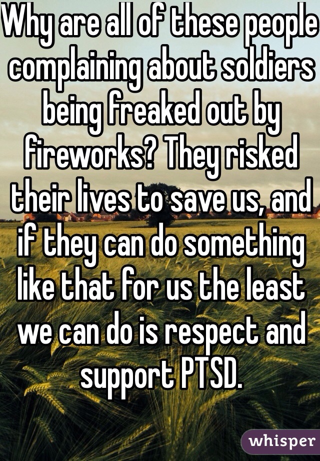 Why are all of these people complaining about soldiers being freaked out by fireworks? They risked their lives to save us, and if they can do something like that for us the least we can do is respect and support PTSD.