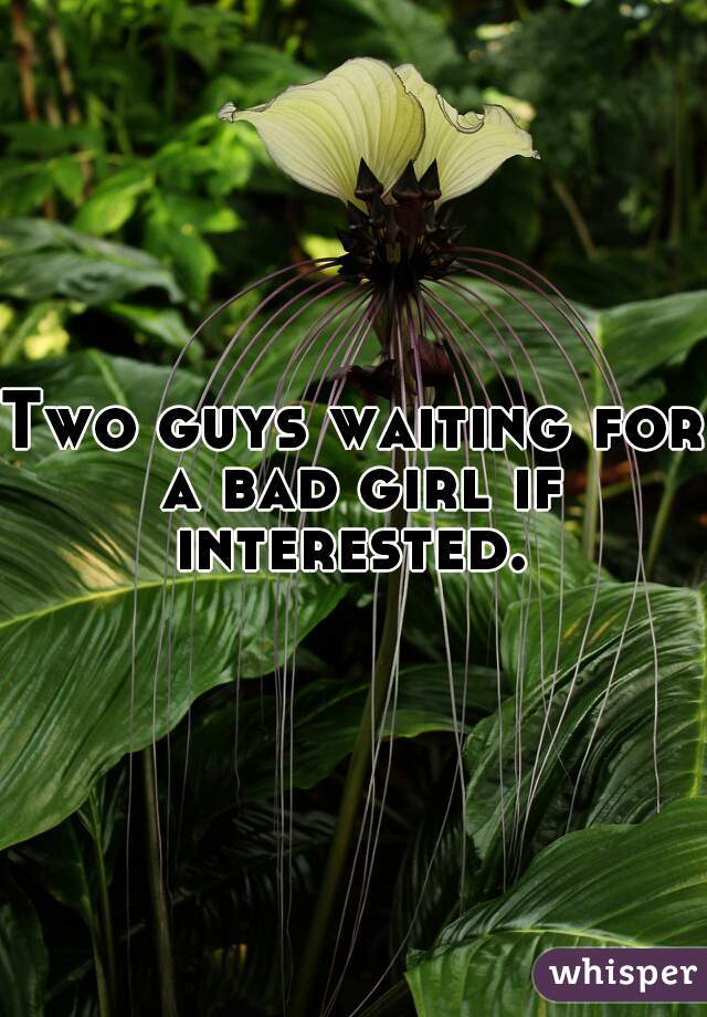 Two guys waiting for a bad girl if interested. 