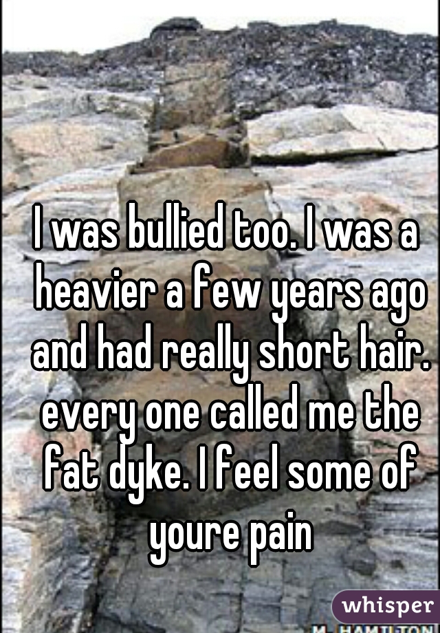 I was bullied too. I was a heavier a few years ago and had really short hair. every one called me the fat dyke. I feel some of youre pain