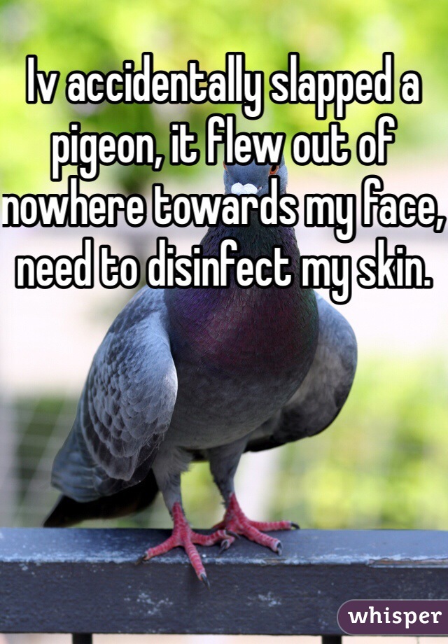 Iv accidentally slapped a pigeon, it flew out of nowhere towards my face, need to disinfect my skin. 