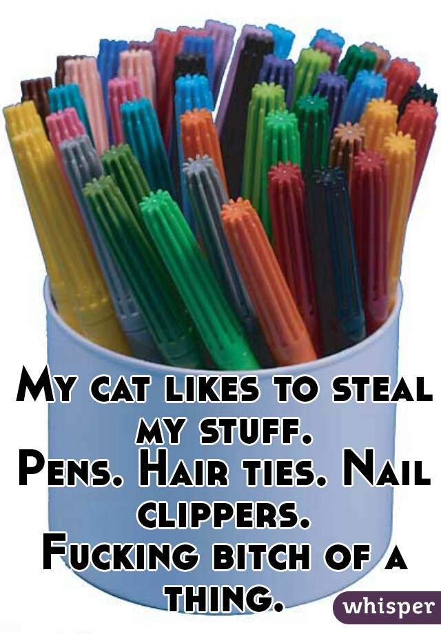 My cat likes to steal my stuff. 
Pens. Hair ties. Nail clippers. 

Fucking bitch of a thing. 