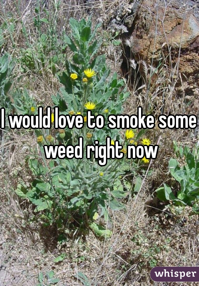I would love to smoke some weed right now