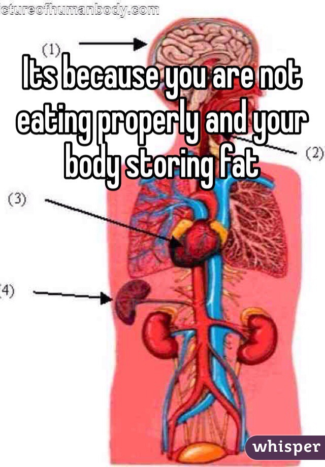 Its because you are not eating properly and your body storing fat