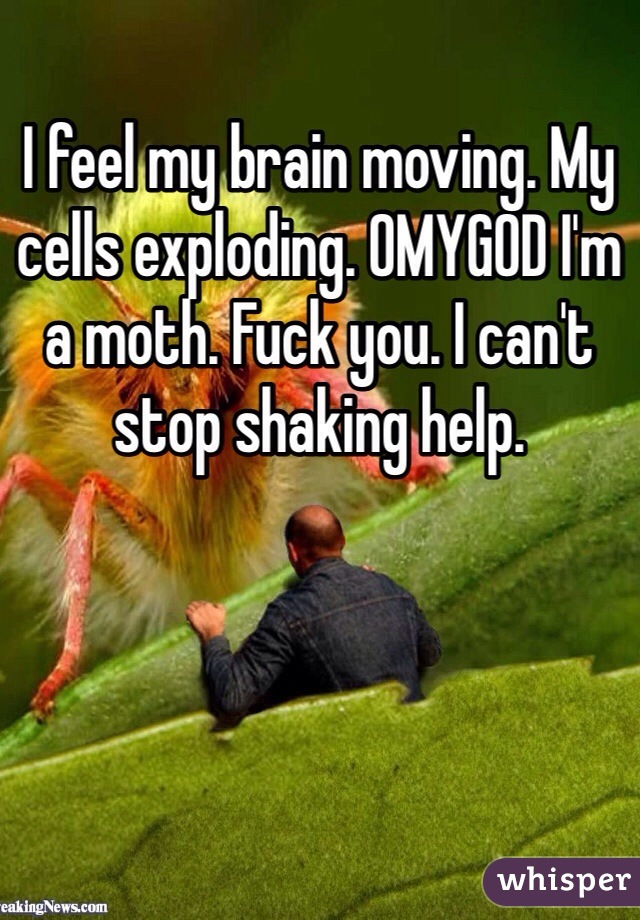 I feel my brain moving. My cells exploding. OMYGOD I'm a moth. Fuck you. I can't stop shaking help. 