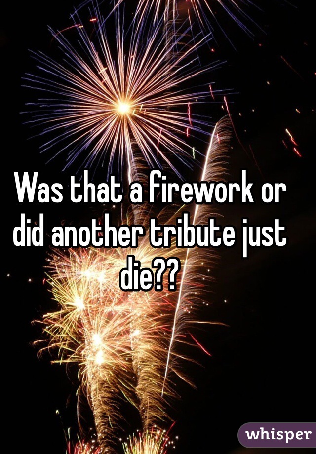 Was that a firework or did another tribute just die??