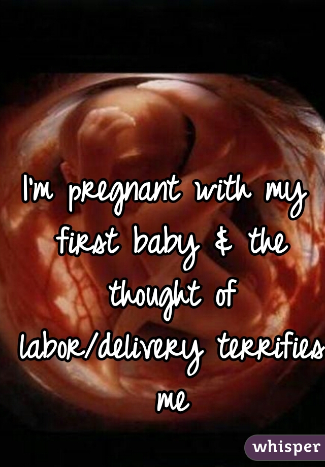 I'm pregnant with my first baby & the thought of labor/delivery terrifies me
