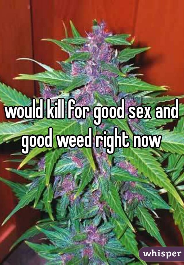 would kill for good sex and good weed right now 